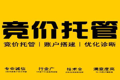 案例解读：竞价SEM托管助力企业崛起
